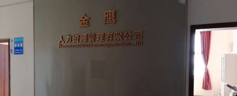 金鷹人力資源管理