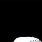 國(guó)禎環(huán)衛(wèi)