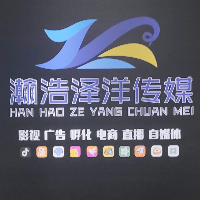 成都瀚浩澤洋網絡科技服務有限公司