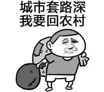 騙子的發展史