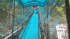 6.gif